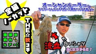 【沖縄コチ釣り】THE☆秋コチ狙い！！No055釣行 [upl. by Evslin]