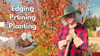 Edging pruning amp planting under a Stewartia Tree [upl. by Paza]