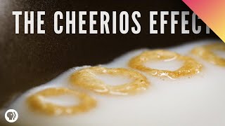 The Cheerios Effect [upl. by Oribella912]