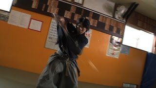 Tenshinryu Hyouho Battojutsu② [upl. by Longley]