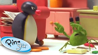 Pingu and the School Pet  Pingu Official  Cartoons for Kids [upl. by Xaviera417]