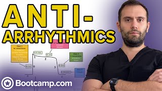 Overview of Antiarrhythmics  HIGHYIELD CARDIOLOGY  USMLE STEP 1 [upl. by Nelli544]