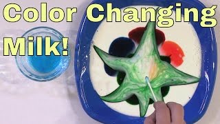 Color Changing Milk  Science Experiment  Milk  Food Coloring  Surface Tension Science Trick [upl. by Abigale]