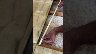 TampG Flooring Installation shorts youtubeshorts woodworking [upl. by Nemraciram]