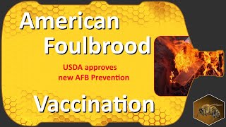 Bee Vaccine American Foulbrood  USDA Conditional Approval [upl. by Nevarc]