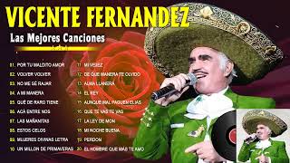 VICENTE FERNÁNDEZ RANCHERAS ÉXITOS DE ORO  VICENTE FERNÁNDEZ 30 GRANDES ÉXITOS MIX Vol12 [upl. by Yanehc445]