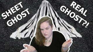 Monster Snakes Phantom Cats and Sheet Ghosts OHH MY  Cryptids of America  Episode 7 [upl. by Ruella298]