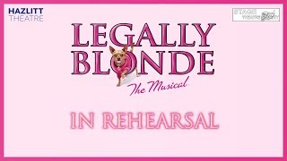 Legally Blonde Trailer 1  Stage Theatre Society [upl. by Rawdan671]