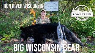 Wisconsin Bear Hunt With Dogs [upl. by Wellington]