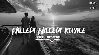 Nilledi Nilledi Kuyilee Lofi Version  Slowed  Reverb  Malayalam Lofi  BEATS OF LOFI [upl. by Phiona597]