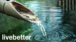 Bruit De LEau Qui Coule  Pour Vous Détendre  Source japonaise de bambou  Zen pour dormir [upl. by Epner]