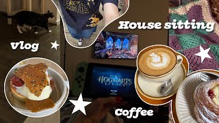 House sitting coffee video games and more 🖥️⭐  Vlog [upl. by Bobinette]