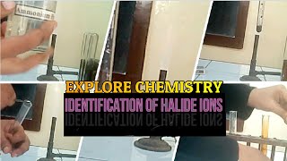 Identification Of Halide Ions [upl. by Eehc]