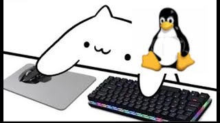 Bongo cat no Linux com teclas extras [upl. by Ayrolg574]