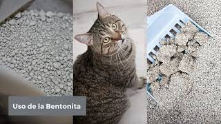 Bentonita para el arenero de gatos  Usos de la Bentonita sódica [upl. by Eudocia]