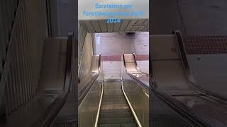 Escalators at Noarlunga Centre Interchange from the Concourse near the restrooms [upl. by Antipus]