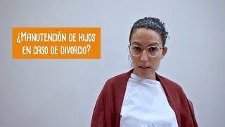 Manutención de menores en caso de divorcio en Finlandia [upl. by Moore408]