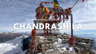 Chandrashila Trek in December  Chopta to Tungnath  Highest Peaks  Indian Himalayas [upl. by Goldsworthy]