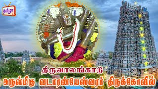 அருள்மிகு வடாரண்யேஸ்வரர் திருக்கோவில்  திருவாலங்காடு  Sri Vadaranyeswarar Swamy  TamizhaTV [upl. by Quinn]