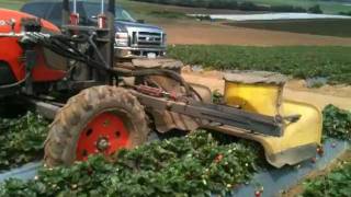 CampN Tractors Strawberry Bug Vacuum [upl. by Heall]