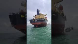 Ship handovertrending seatransportshipspotting singapore viralvideo murshippingafricanwren [upl. by Nakashima230]