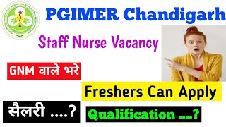 PGIMER Chandigarh Staff Nurse Vacancy  Staff Nurse Recruitment  GNM Freshers Can Apply PGIMER [upl. by Selry]