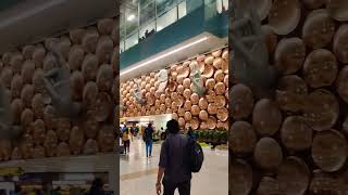 Bora Bora Song AP Dhillon ft Ayra star  Delhi IGI Airport diwalispecial festivalvibes shorts [upl. by Noiram]