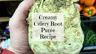 Creamy Celery Root Purée Recipe [upl. by Aindrea777]