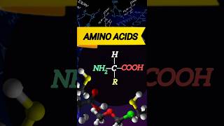 Biomolecules  Amino acids  NEET  Class 11  ncert [upl. by Eceinehs]