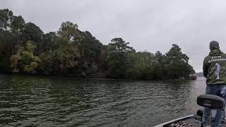 Live Lake Guntersville Bass fishing [upl. by Andreana]