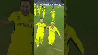 That CWC23 winning feeling 🤩🇦🇺 YTShorts CricketShorts [upl. by Dlaregztif475]