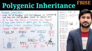 Polygenic inheritance and continuous varying traits FBISE class 12 [upl. by Aicinat49]