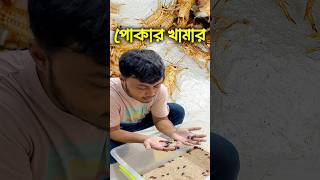 পোকামাকড় চাষের মাধ্যমে বেকারত্ব কমানো সম্ভব insects pets ornofpets [upl. by Kcirded]