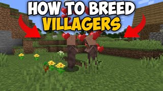 Minecraft How To Breed Villagers 121 [upl. by Linnea109]