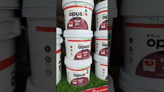 Birla Opus Acrylic Distemper paint shorts paintwalldecor [upl. by Wainwright]