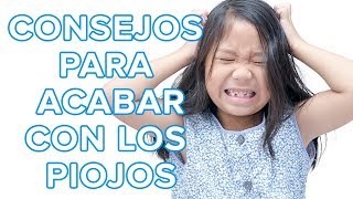 Detección de piojos en los niños vídeo práctico de cómo revisar la cabeza [upl. by Oiromed]