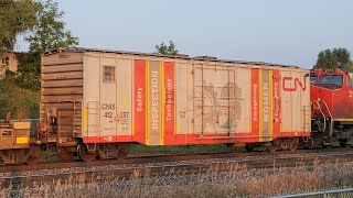 Womens Engineering Boxcar CN 149  8803 amp 2556 At Tansley In Burlington Ontario Halton Sub [upl. by Rex]