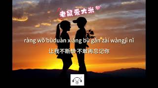 PinyinLyrics Laoshu ai dami Cover Wangbinbin  老鼠爱大米 Cover 王濱濱 [upl. by Annocahs791]