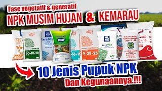 10 JENIS PUPUK NPK DAN KEGUNAANNYA  NPK Musim Hujan amp Kemarau [upl. by Danelle]