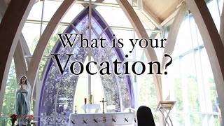 What is my vocation [upl. by Ilellan]