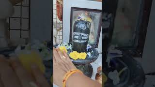 Shivling per chadhaen harsingar ka Pushp pradeepmishrajikishivpurankathalivetoday [upl. by Ludovico]