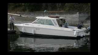 24 ft Winner Boat for Sale [upl. by Agnot]