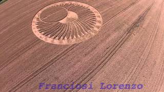 Crop Circle  Cervia Ravenna  Italy  21062015 [upl. by Nwahsid939]