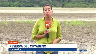 La laguna más grande de la reserva de cuyabeno está completamente seca [upl. by Huber]