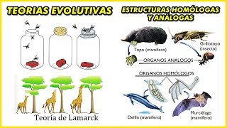 EVOLUCIÓN Generación Espontanea Quimiosintética  Teorías evolucionistas Estructuras Homologas [upl. by Rudich]