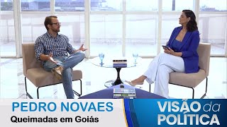 Visão da Política Pedro Novaes  Queimadas em Goiás v2 [upl. by Matthia]