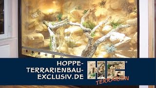 Terrarienkauf Tipps und Anregungen für ein Wüstenterrarium [upl. by Nailliw]