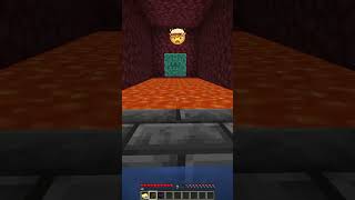 Nether Grove vs Emoji Secret Room shorts minecraft memes [upl. by Felita]