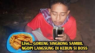 Live GORENG SINGKONG SAMBIL NGOPI DI KEBUN SI BOSS [upl. by Ennylyak706]