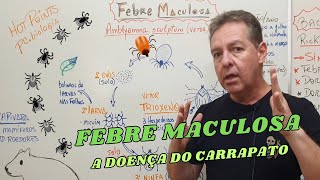 Febre Maculosa O que você PRECISA saber [upl. by Keldah]